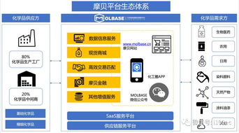摩貝ceo常東亮 三流合一 打造化學品行業生態圈