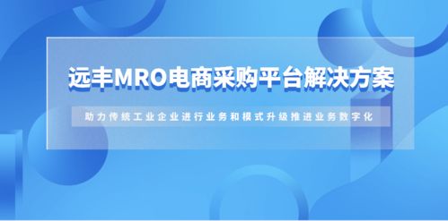 遠豐案例丨為其搭建b2b商城,推進業務數字化
