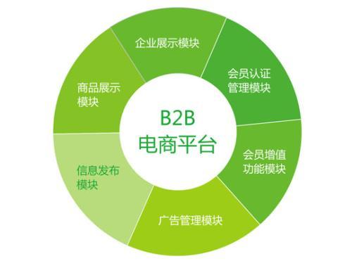 為什么需要定制的b2b網站系統建設方案